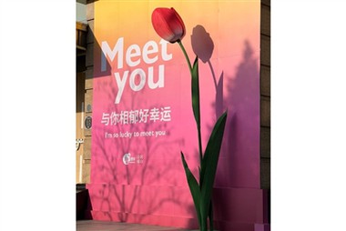 Fleurs en papier surdimensionnées